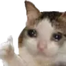 sadcat sadcat