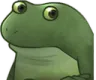 Concerned Froge Discord Emoji