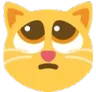 kittenplead