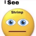 IseeShrimp IseeShrimp