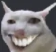 cat_heh