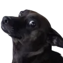 emoji_73