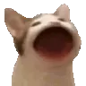 poppycat