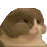 mern