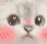 vwu_catBlush