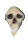 skul