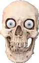 skull2 skull2