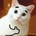okayeow