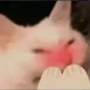 BlushingNyan