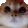 rranebattal