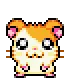 HamtaroWave