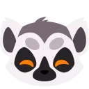lemur_happy