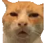 huh huh
