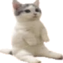 catsitleft Discord emoji