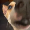 HOUUUHHFFHHHHOUSHHAAA