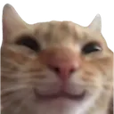 Swaghappy Discord Emoji