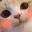 1CatBlush