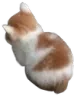 1angy2