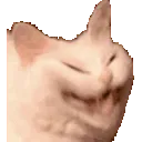 hehe