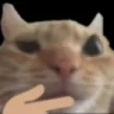 Cattothink Discord Emoji