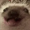 emoji_52