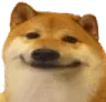 doge_wow