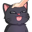 luvtinPETLUCI
