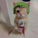 meowronoa_zoro