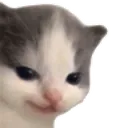 hehe