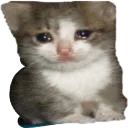 Sadness sadness Discord Emoji