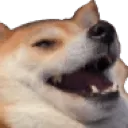 dogekek