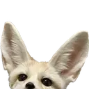 earbs