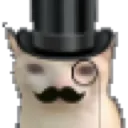 bruhcatfancy