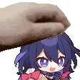 seelepat