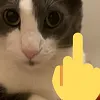 sog_screw_you
