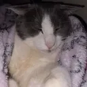 sog_sleep
