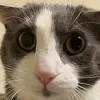 sog_concerned