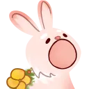 POPFynn POPFynn