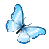 Butterflyblue butterflyblue Discord Emoji