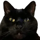 HeyImWatchingYou