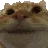 yescat