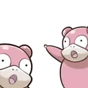 Slowpoke_Jak_Point
