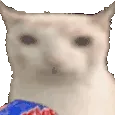 VeryCat
