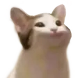 sydspaHappycat sydspaHappycat