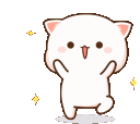nc_single