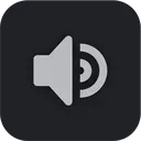 voice