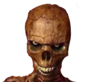 skullwhat