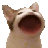 Catto catto Discord Emoji