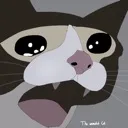 cat_scream_why cat_scream_why