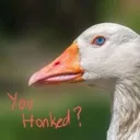 YouHonked